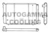 AUTOGAMMA 100862 Radiator, engine cooling